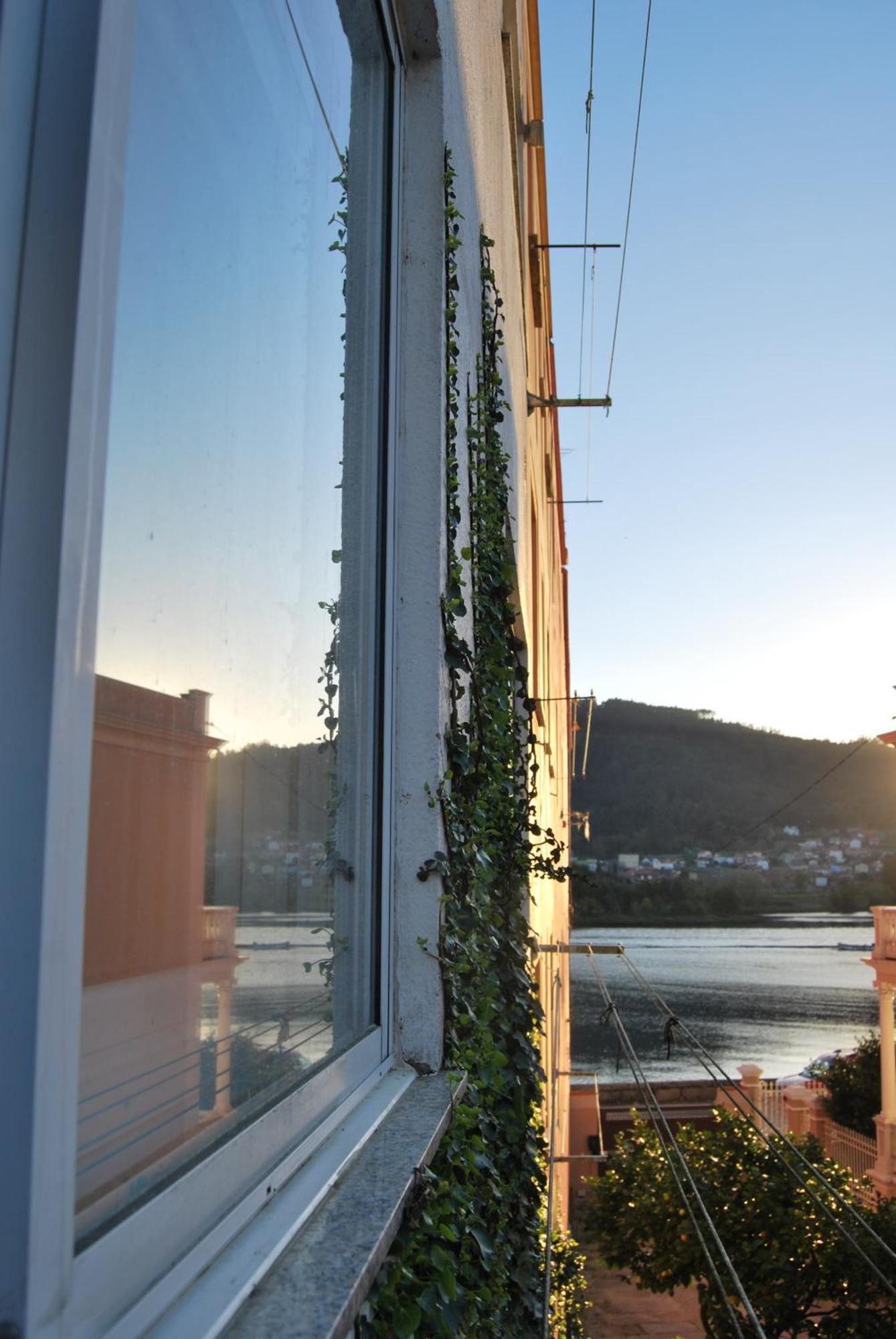 Pension Elisardo Noia Exterior photo